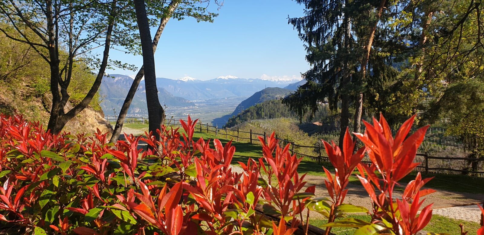 Camping in Tirol Alpin Fitness Waldcamping