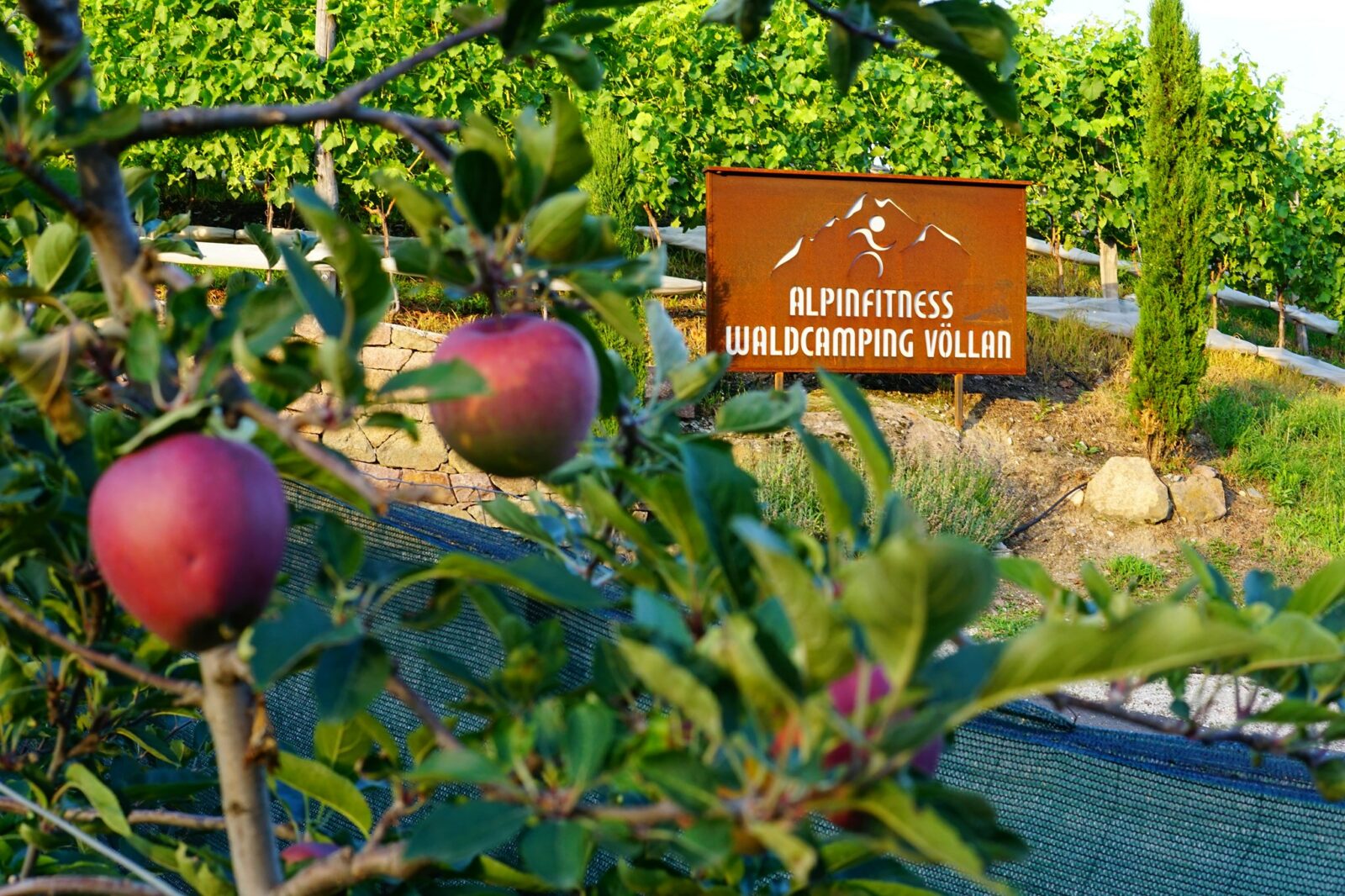 Camping in Tirol Alpin Fitness Waldcamping