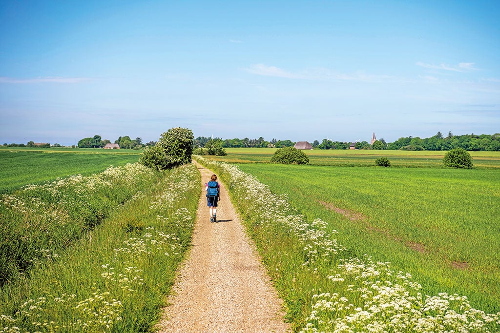 Ein Wanderer in der grünen Landschaft der Tøndermarskenmit ein paar vereinzelten Häusern und einer Kirche am Horizont