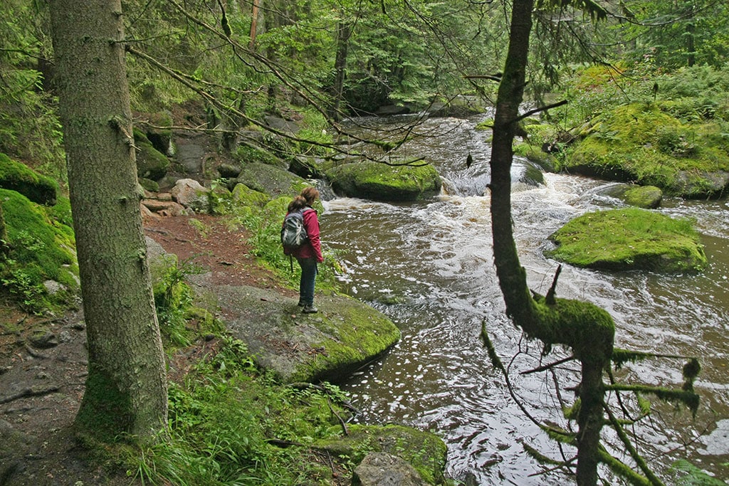 Wanderin am felsigen, moosbedeckten Ufer eines kleinen Flusses