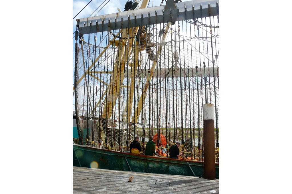 Fischerboot bei Oudeschild