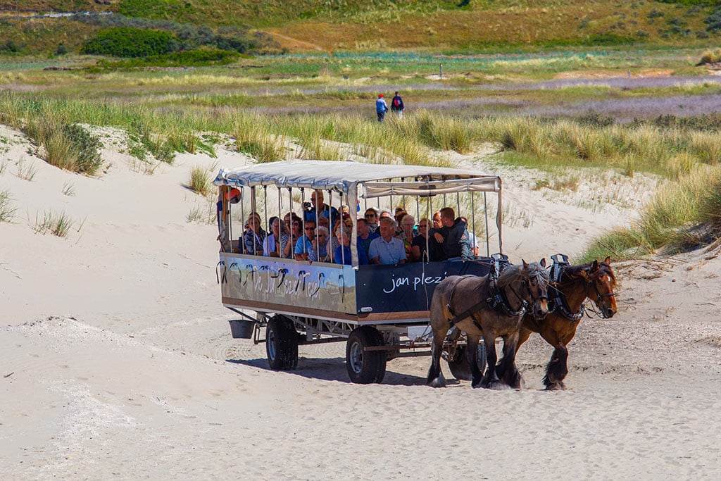 Von zwei Pferden gezogener Planwagen auf Sandstrand