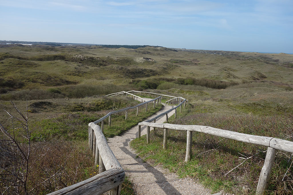 Treppe zum Naturschutzgebiet De Slufter in den Dünen Texels