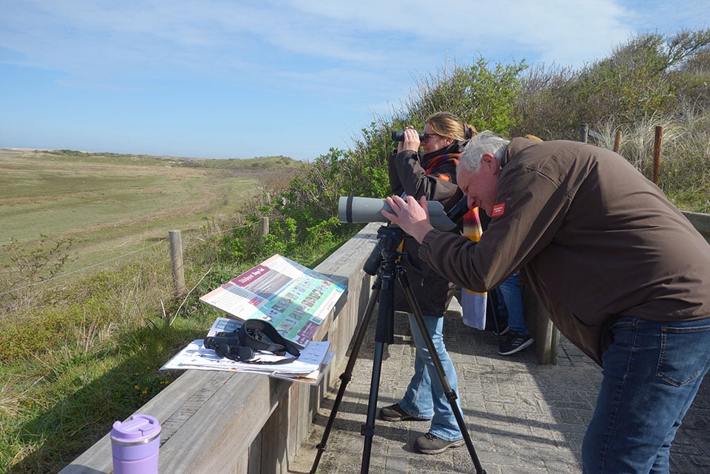 Vogelbeobachter am Fernglas
