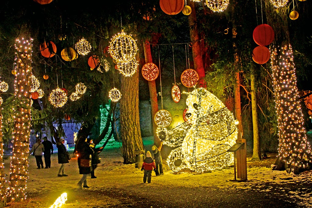 Lichtobjekte in nächtlichem Park