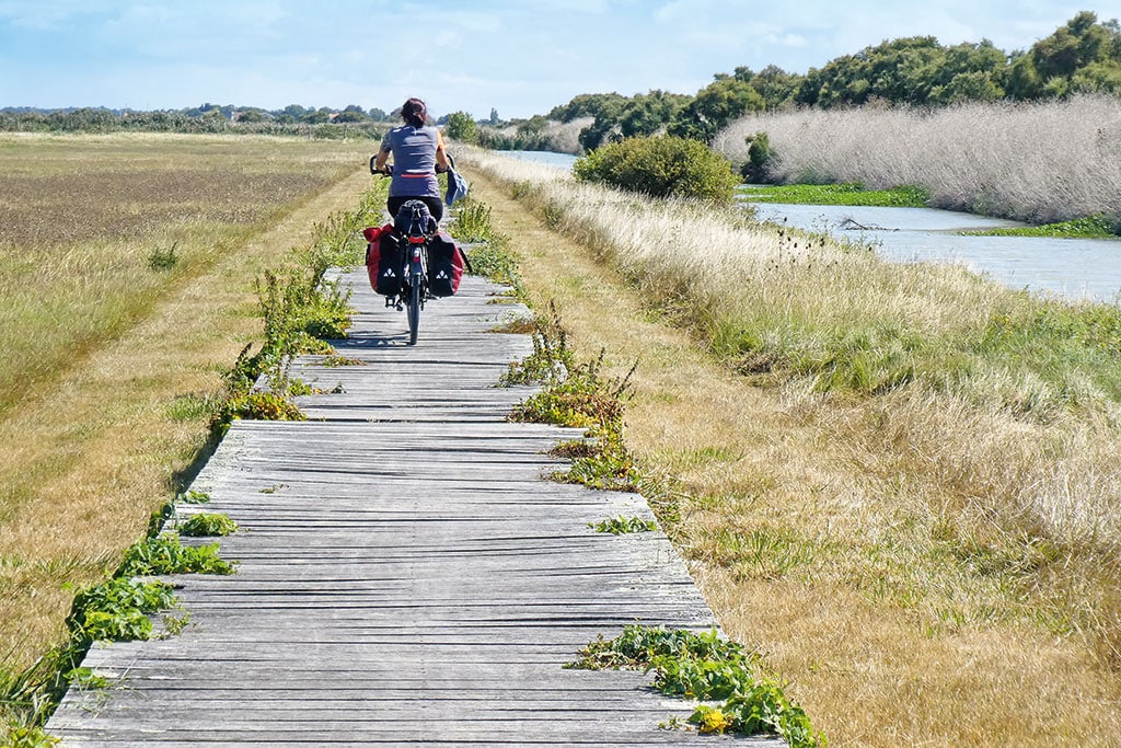 Radfahrer fährt auf hölzernem Steg durch Wiesen- und Wasserlandschaft
