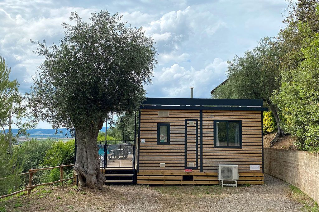 Kleines Holz-Bungalow neben einem Olivenbaum