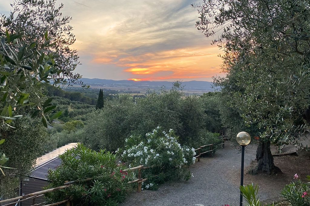 Sonnenuntergang über grüner Hügellandschaft
