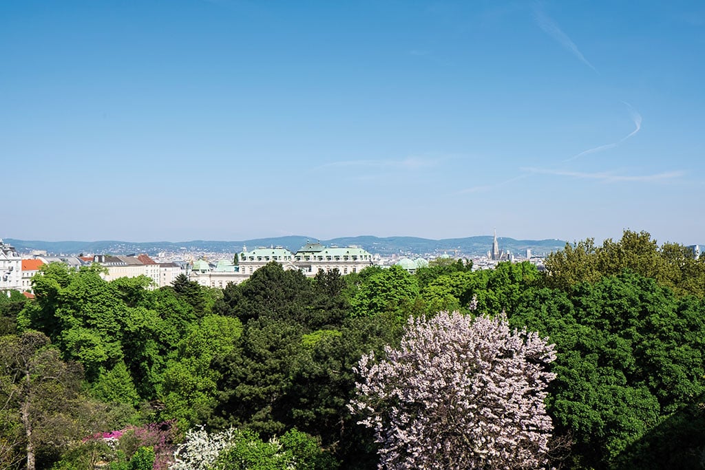 Frühling in Wien: Blick über die aufblühende Stadt