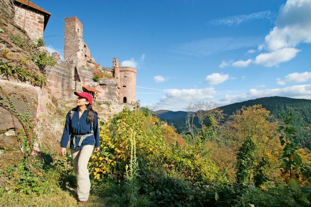 Premium-Wanderregion Dahner Felsenland: Auf der Spur der Elwetritschen