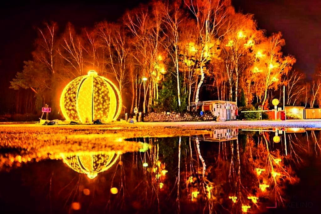 Lichter-Installationen an einem Ufer bei Nacht