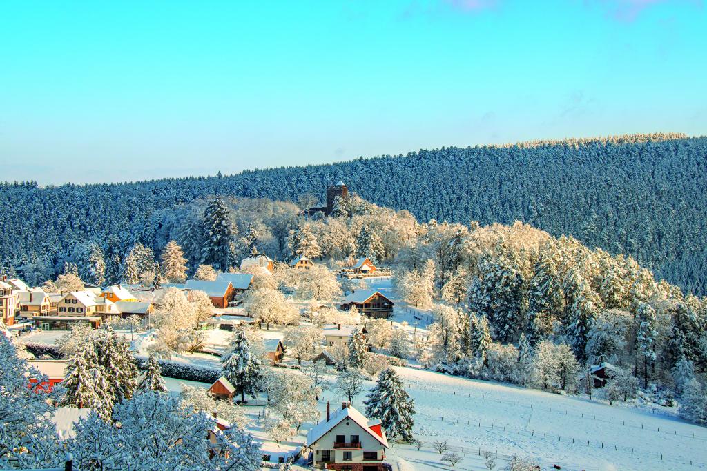 Foto: Wangenbourg-Engenthal, Foto: Visit Alsace/ D. Lett – ADT