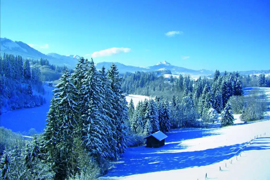 Winterlandschaft in den Bergen