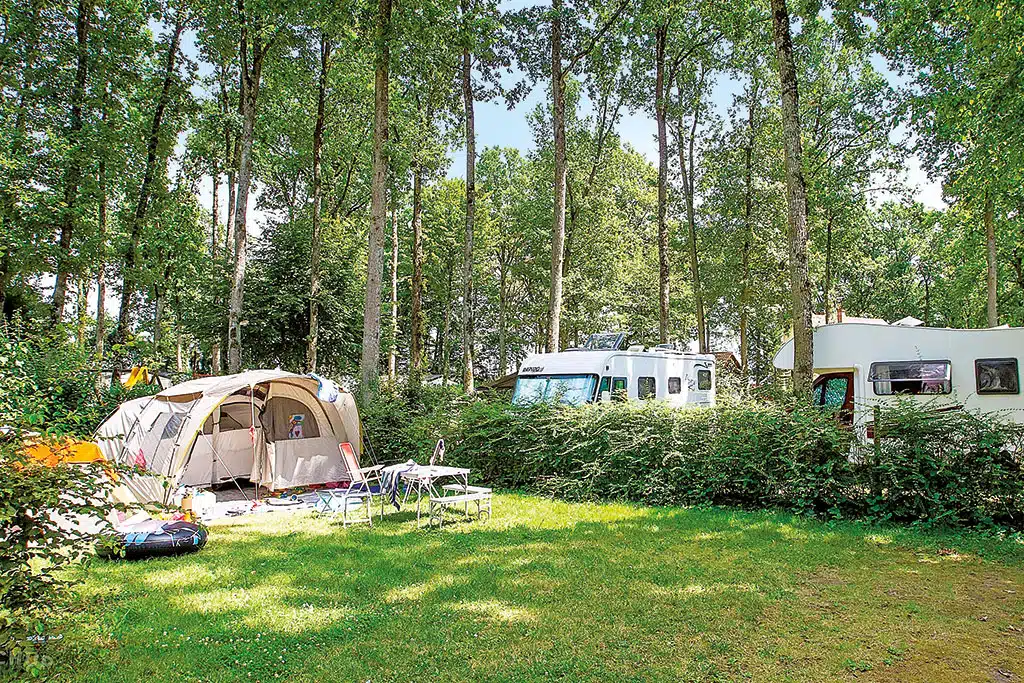 Campingparzellen auf einer Wiese mit vielen Bäumen