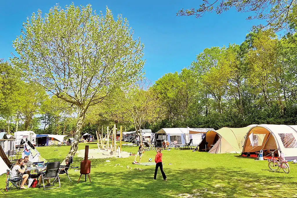 Spielende Kinder auf einer Campingplatz-Wiese