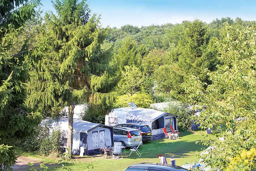 Campingfahrzeuge auf einer Wiese umgeben von Wald